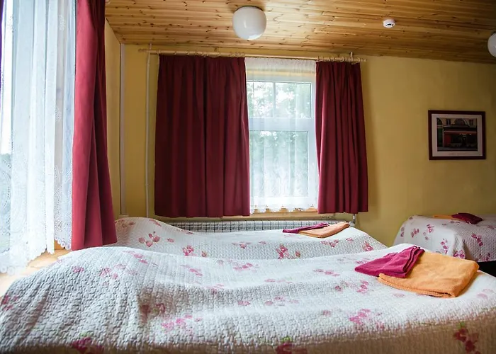 Puuna Oeoemaja Vihterpalu